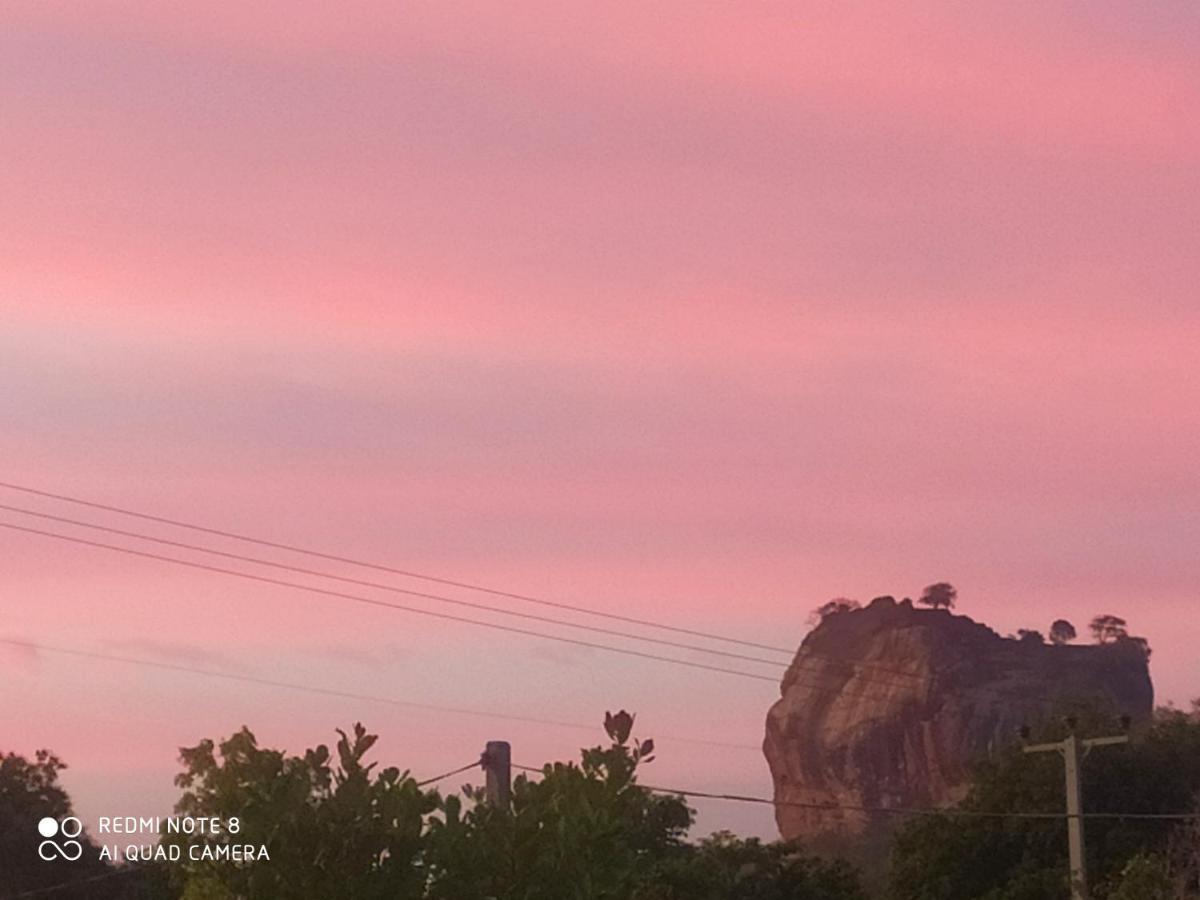 Gayani Sigiri View Home Stay Sigiriya Exterior foto