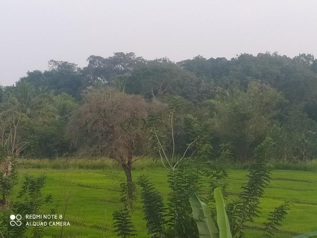 Gayani Sigiri View Home Stay Sigiriya Exterior foto