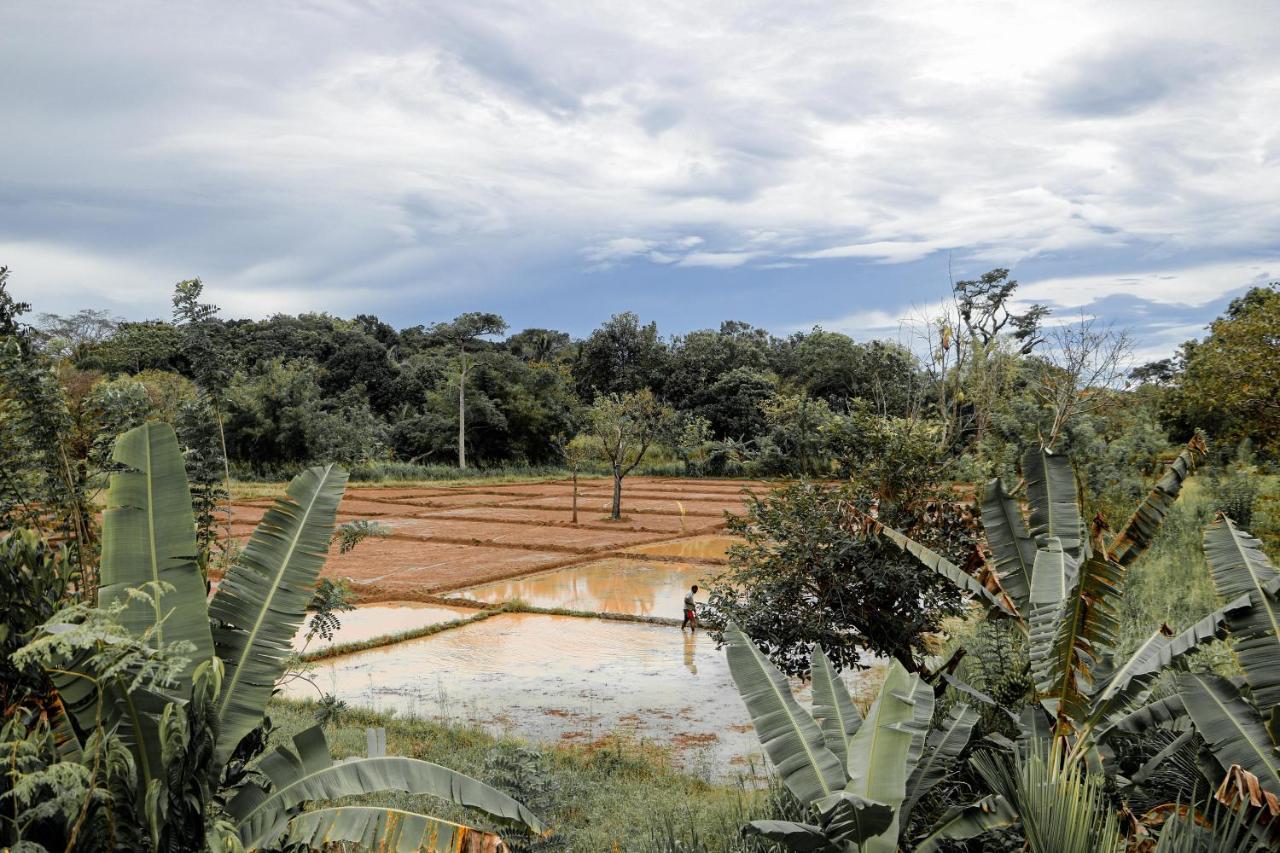 Gayani Sigiri View Home Stay Sigiriya Exterior foto